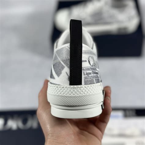 dior b23 daniel arsham newspaper